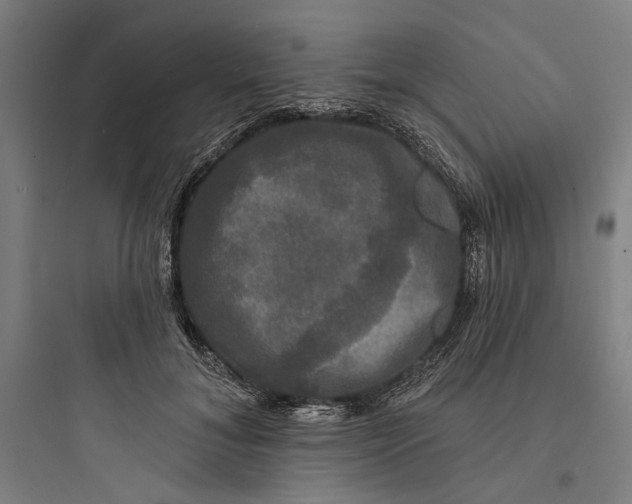 X0000093740700200711061024