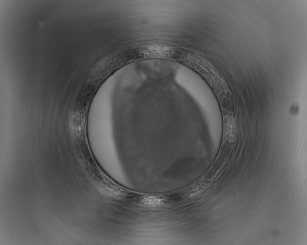 X0000093740701200711061024