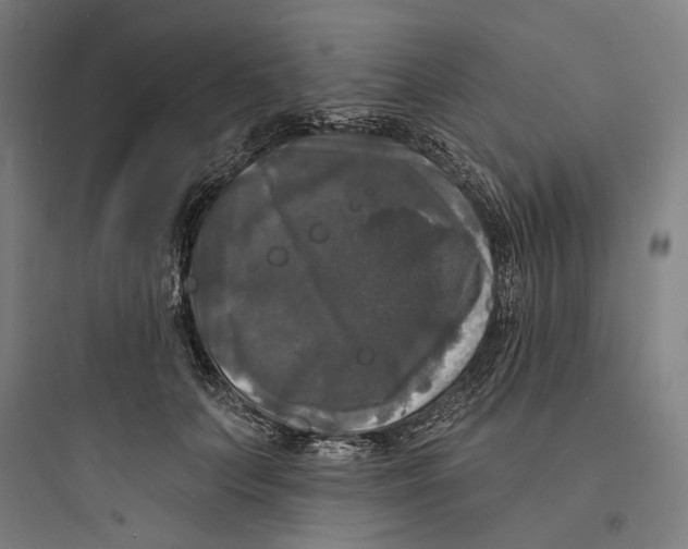 X0000093740703200711061024