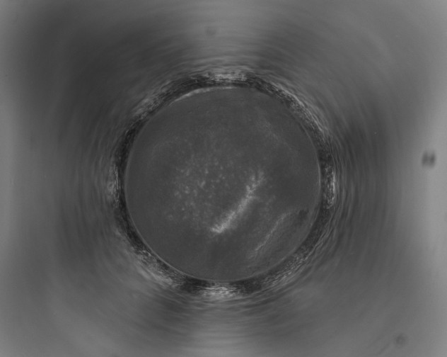 X0000093740704200711061024