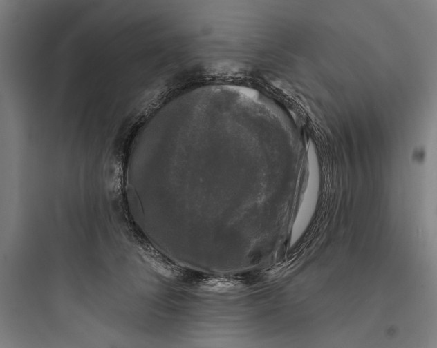 X0000093740708200711061024