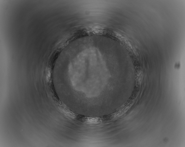 X0000093740709200711061024