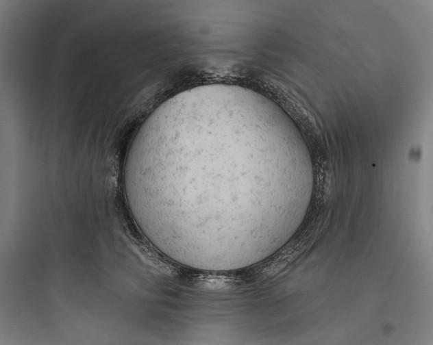 X0000093740710200711061024