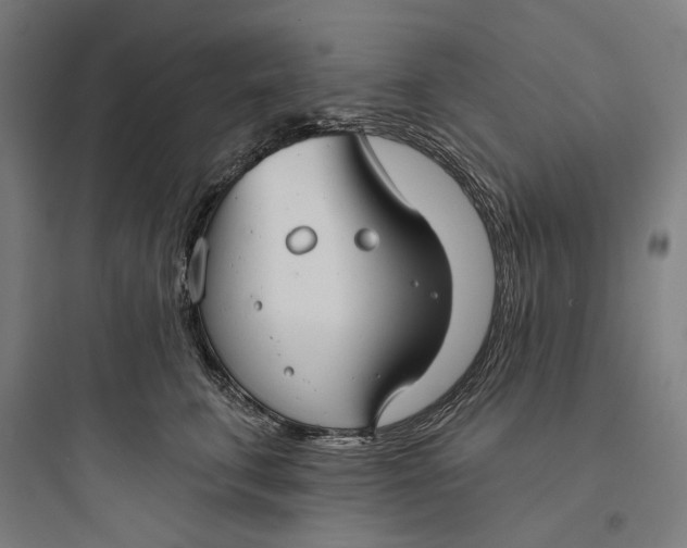 X0000093740711200711061024