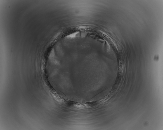 X0000093740712200711061024