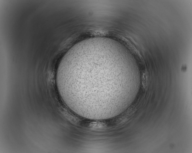 X0000093740714200711061024