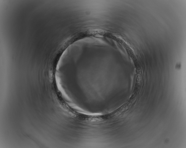 X0000093740716200711061024