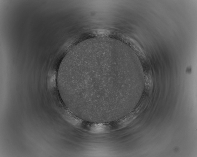 X0000093740717200711061024