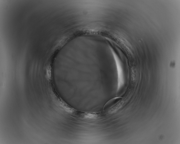 X0000093740718200711061024