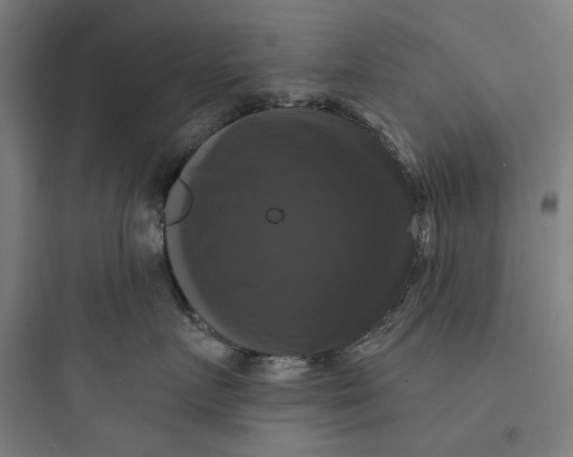 X0000093740719200711061024