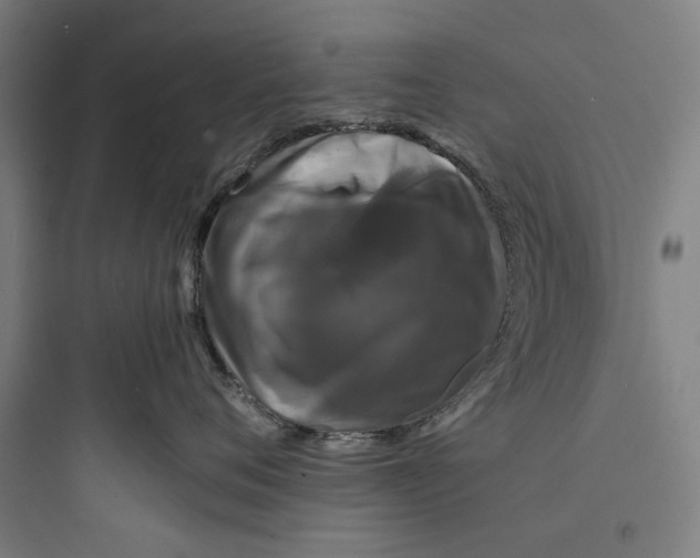 X0000093740720200711061024