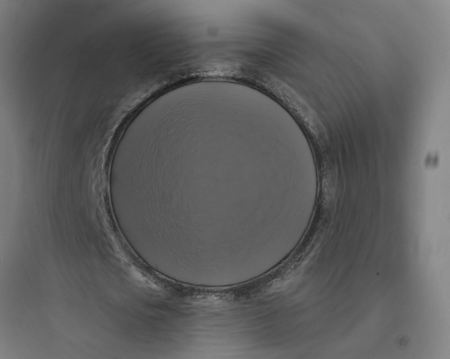 X0000093740721200711061023