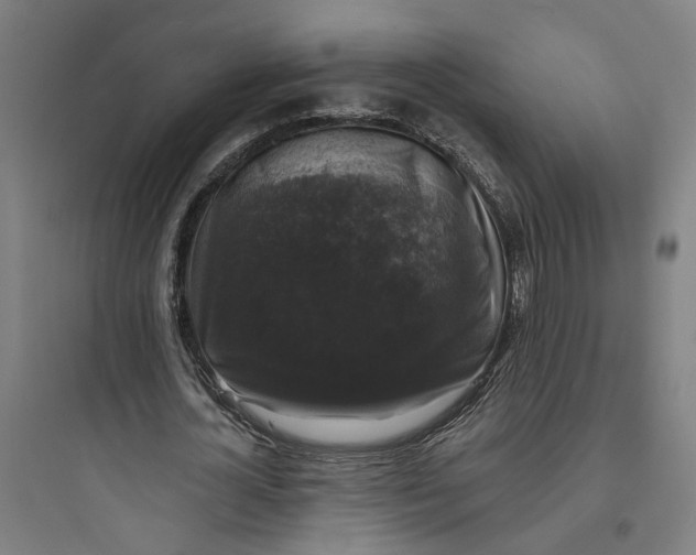 X0000093740724200711061023