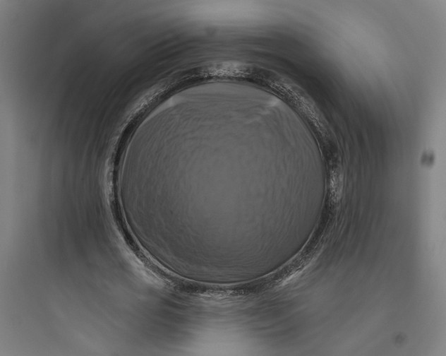 X0000093740725200711061023