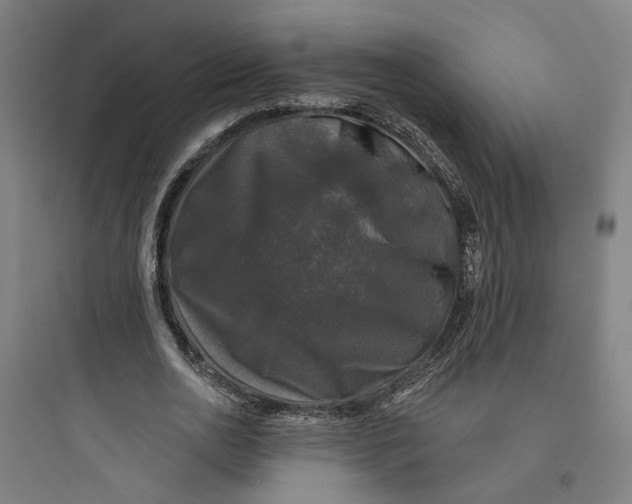 X0000093740726200711061023