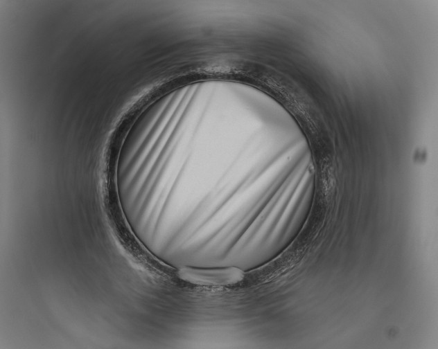 X0000093740728200711061023