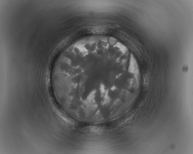 X0000093740733200711061023