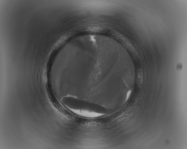 X0000093740734200711061023