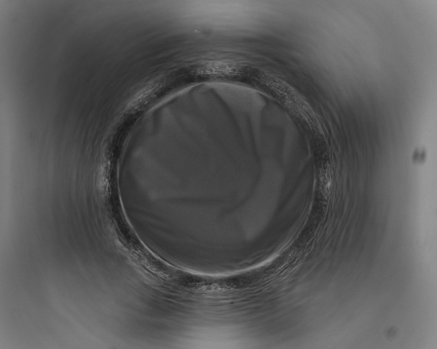 X0000093740735200711061023