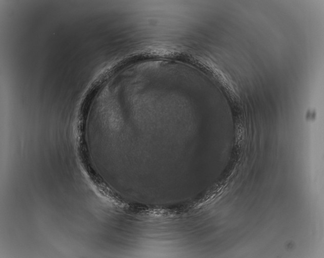 X0000093740736200711061023