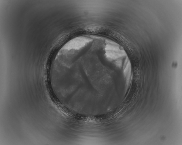 X0000093740738200711061023