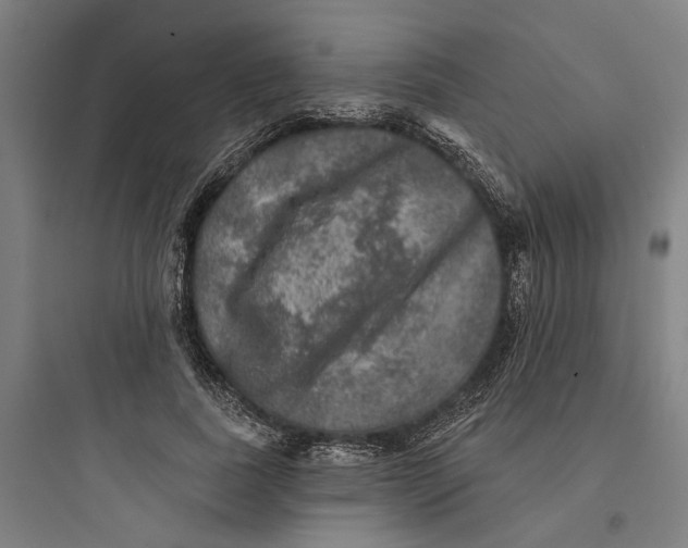 X0000093740739200711061023