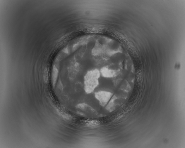 X0000093740741200711061023