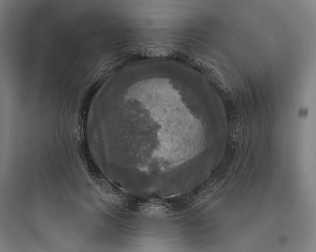 X0000093740743200711061023