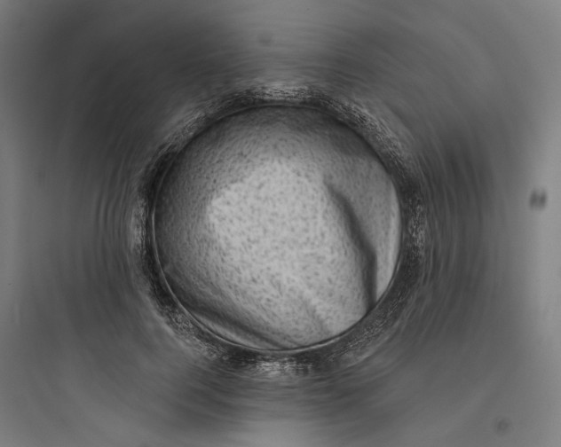 X0000093740744200711061023