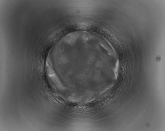 X0000093740745200711061023