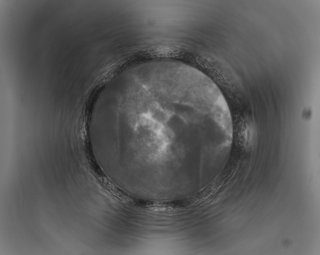 X0000093740746200711061023