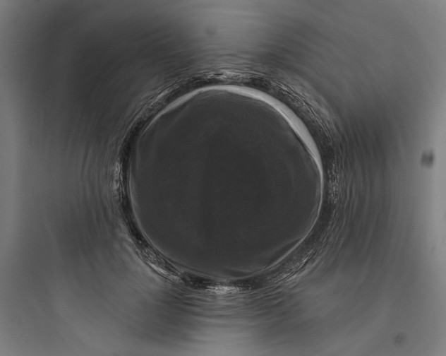 X0000093740748200711061023