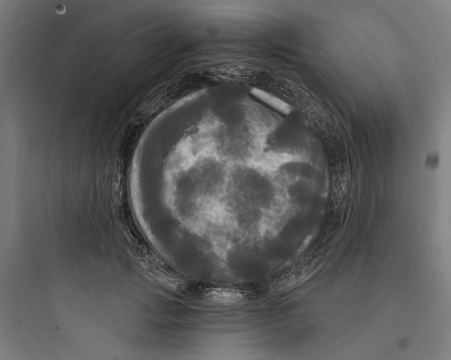 X0000093740749200711061023