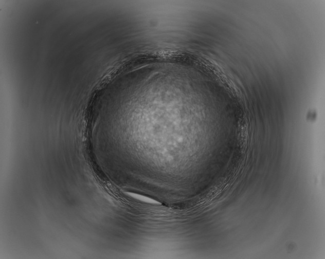 X0000093740750200711061023