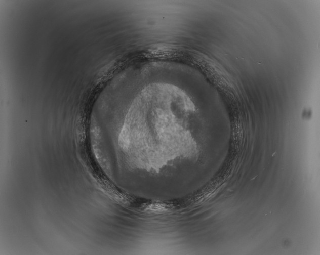 X0000093740751200711061023