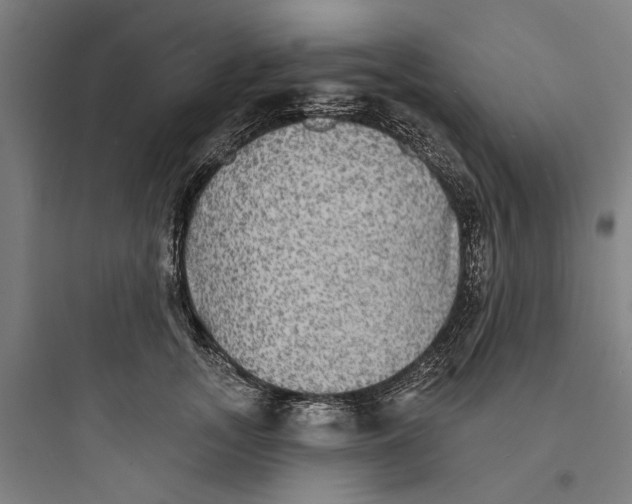 X0000093740755200711061024