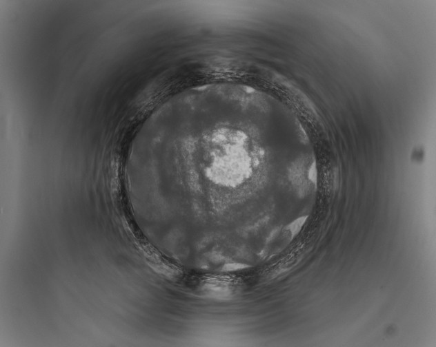 X0000093740757200711061024