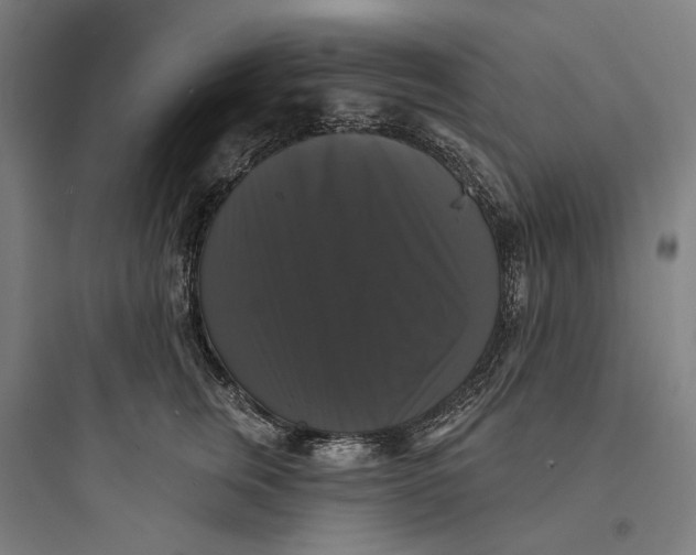 X0000093740759200711061024