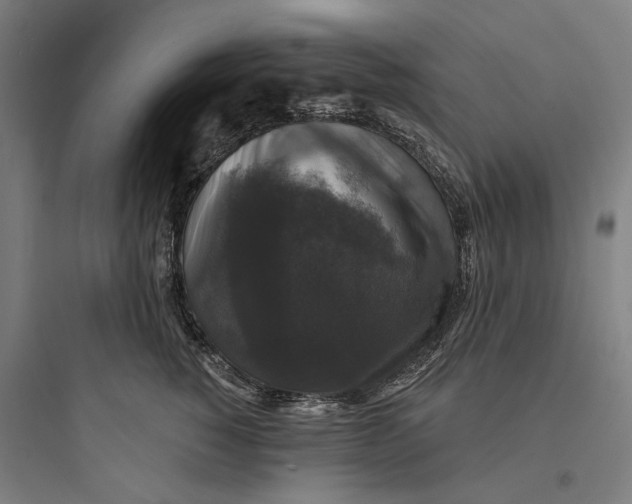 X0000093740760200711061024