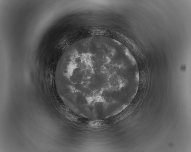 X0000093740761200711061024