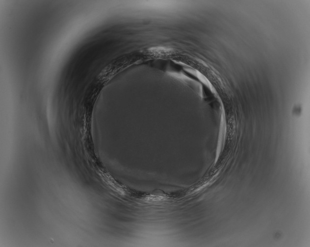 X0000093740762200711061024