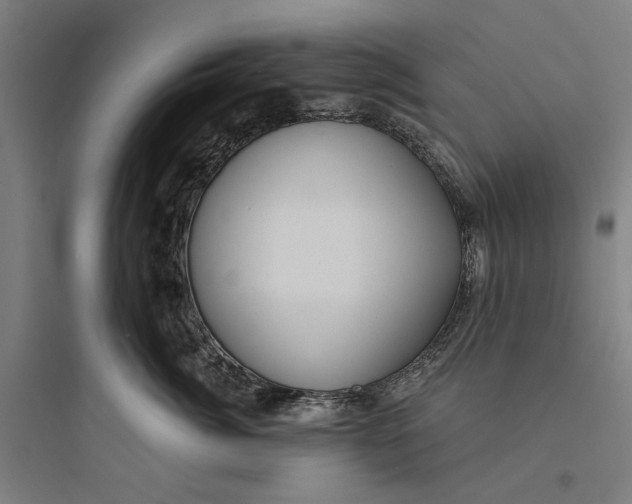 X0000093740764200711061024