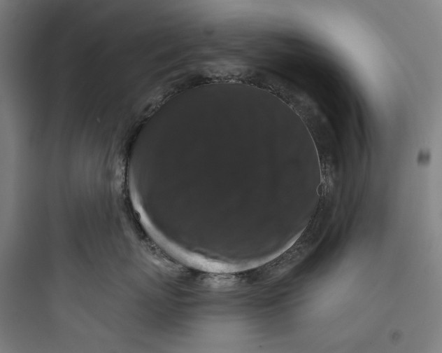 X0000093740767200711061024