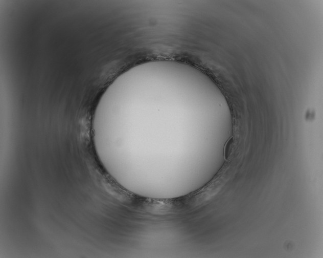 X0000093740768200711061024