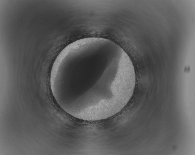 X0000093740769200711061023