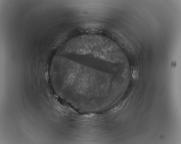 X0000093740771200711061023