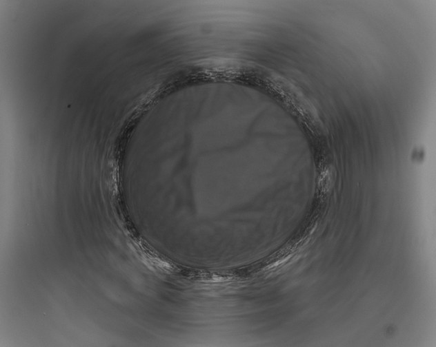 X0000093740772200711061023