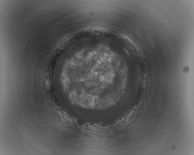 X0000093740774200711061023