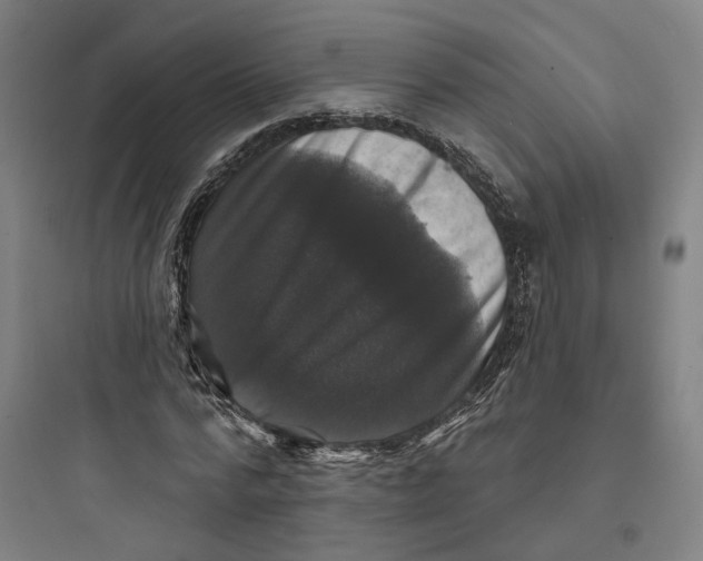 X0000093740776200711061023