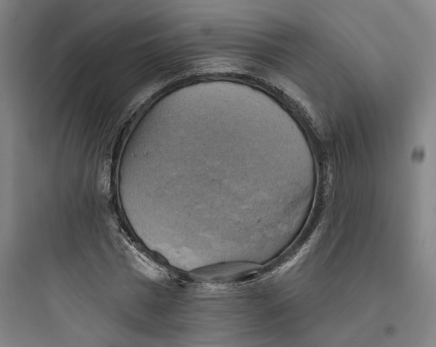 X0000093740777200711061023